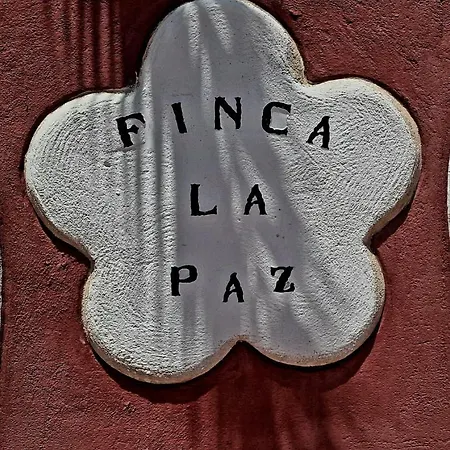 Holiday home Finca La Paz Costa Adeje (Tenerife)